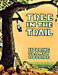 Tree trail.jpg